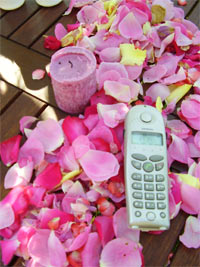 content_73_01.jpg